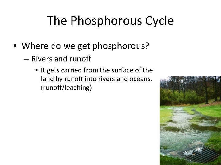 The Phosphorous Cycle • Where do we get phosphorous? – Rivers and runoff •