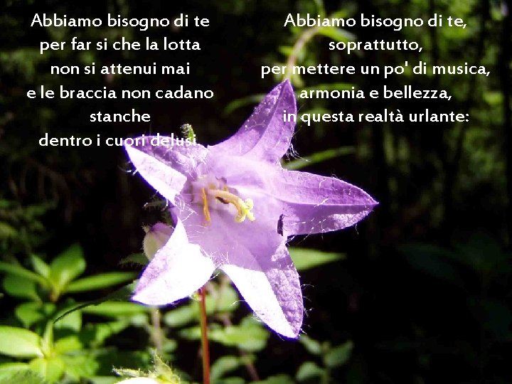 Abbiamo bisogno di te per far si che la lotta non si attenui mai Abbiamo bisogno di te per far si che la lotta non si attenui mai