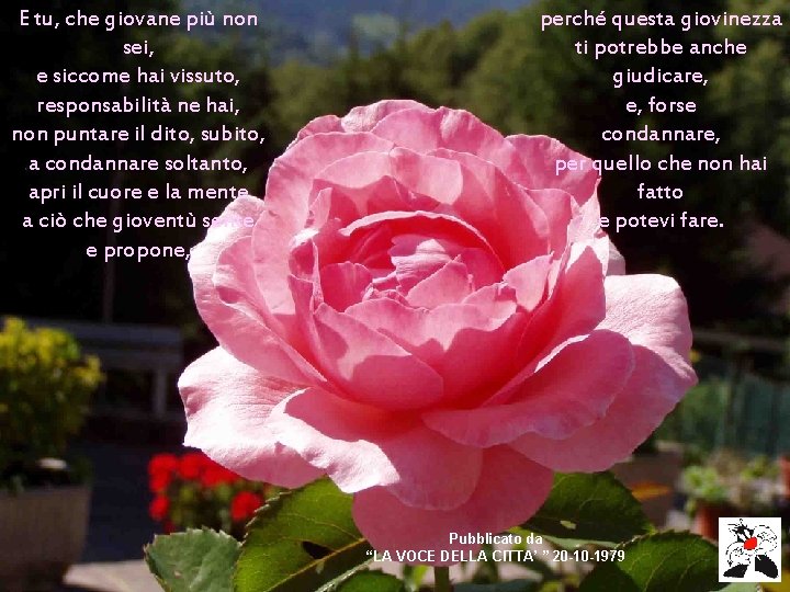 E tu, che giovane più non sei, e siccome hai vissuto, responsabilità ne hai, E tu, che giovane più non sei, e siccome hai vissuto, responsabilità ne hai,