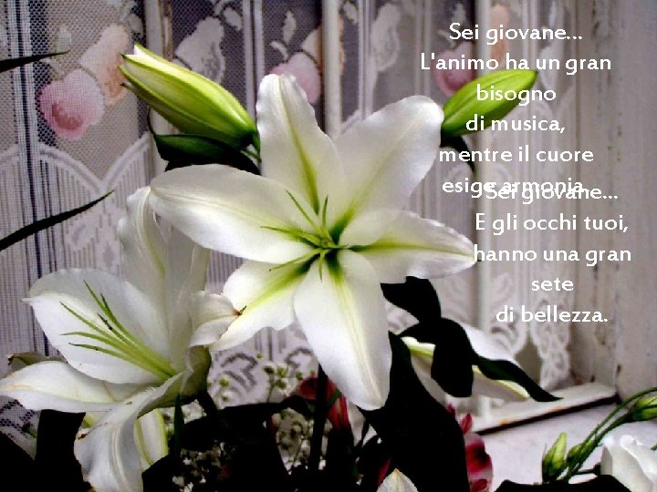 Sei giovane. . . L'animo ha un gran bisogno di musica, mentre il cuore Sei giovane. . . L'animo ha un gran bisogno di musica, mentre il cuore
