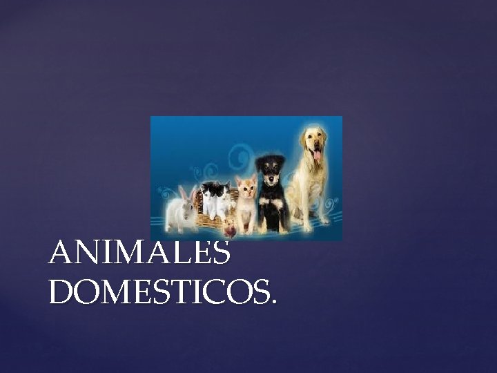 ANIMALES DOMESTICOS. 