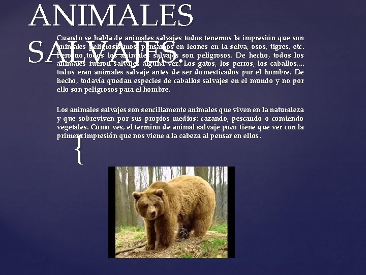 ANIMALES SALVAJES. Cuando se habla de animales salvajes todos tenemos la impresión que son