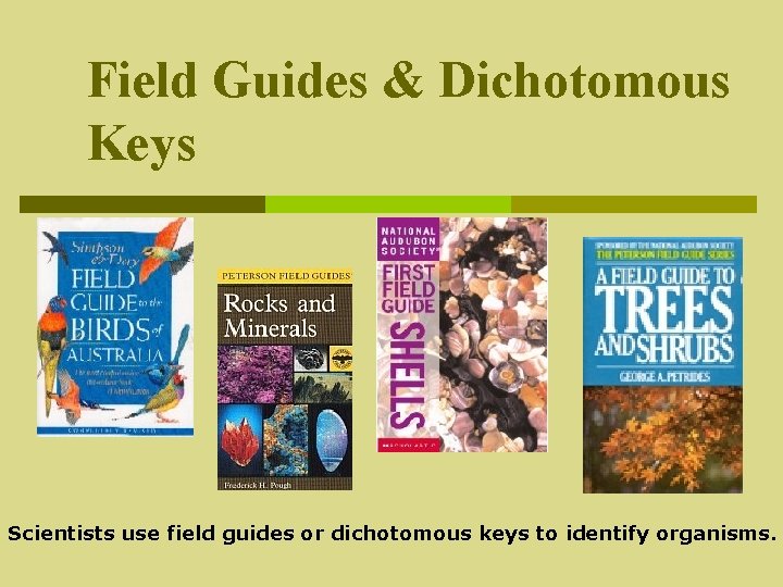 Field Guides & Dichotomous Keys Scientists use field guides or dichotomous keys to identify