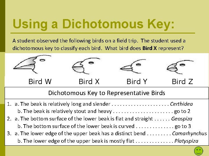 Using a Dichotomous Key: A student observed the following birds on a field trip.