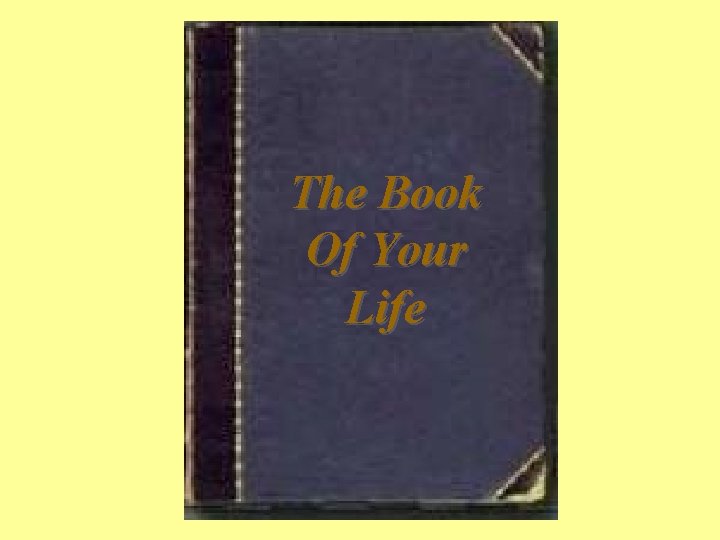 The Book Of Your Life 