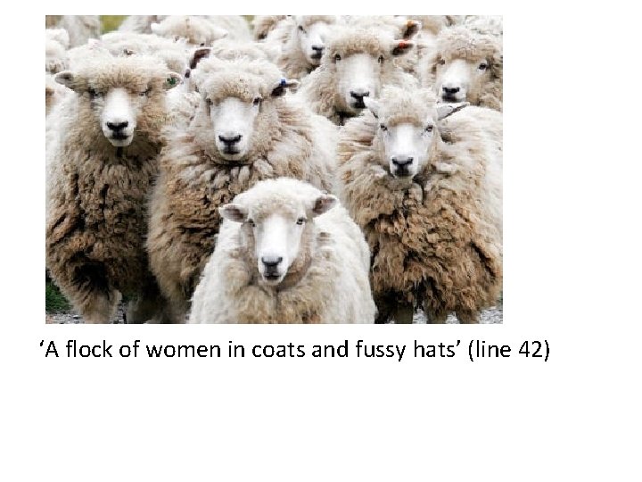 ‘A flock of women in coats and fussy hats’ (line 42) ‘A flock of women in coats and fussy hats’ (line 42)