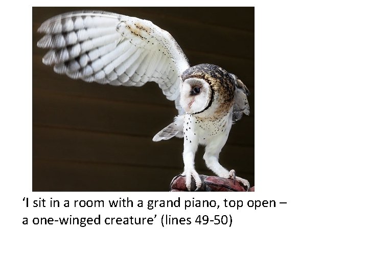 ‘I sit in a room with a grand piano, top open – a one-winged