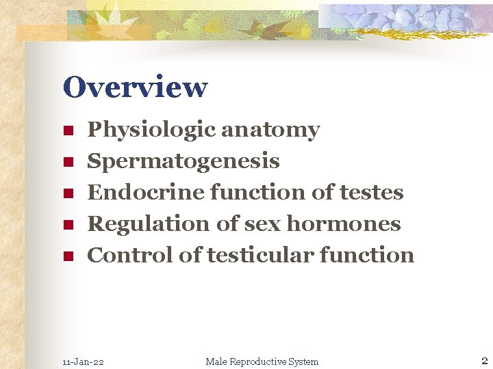 Overview n n n Physiologic anatomy Spermatogenesis Endocrine function of testes Regulation of sex