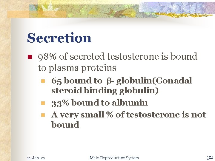 Secretion n 98% of secreted testosterone is bound to plasma proteins n n n