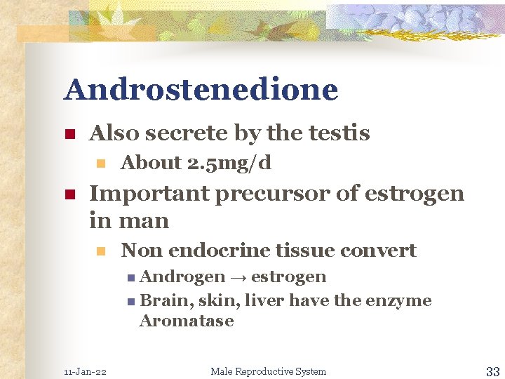 Androstenedione n Also secrete by the testis n n About 2. 5 mg/d Important