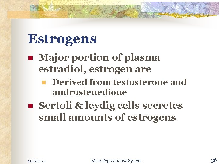 Estrogens n Major portion of plasma estradiol, estrogen are n n Derived from testosterone