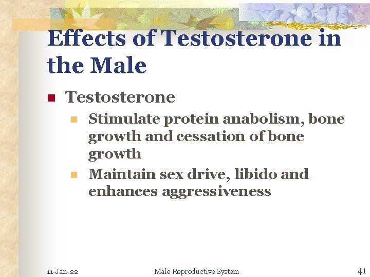 Effects of Testosterone in the Male n Testosterone n n 11 -Jan-22 Stimulate protein