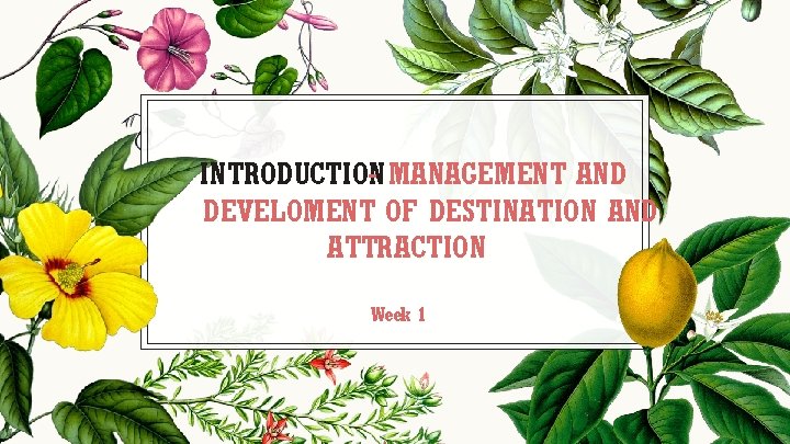 INTRODUCTION - MANAGEMENT AND DEVELOMENT OF DESTINATION AND ATTRACTION Week 1 