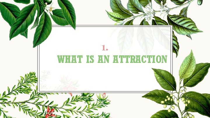 1. WHAT IS AN ATTRACTION 