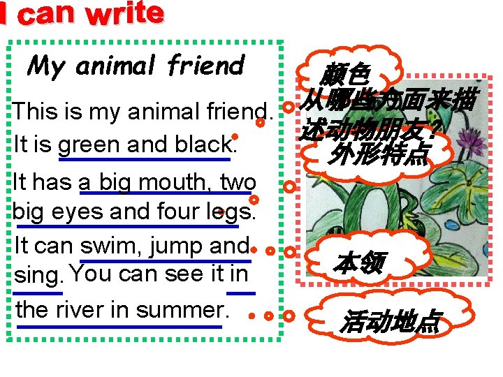 My animal friend 颜色 从哪些方面来描 This is my animal friend. 述动物朋友？ It is green