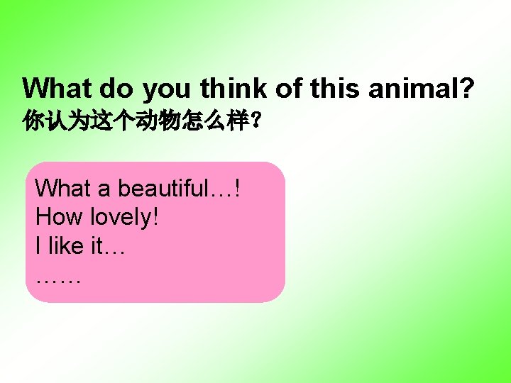 What do you think of this animal? 你认为这个动物怎么样？ What a beautiful…! How lovely! I