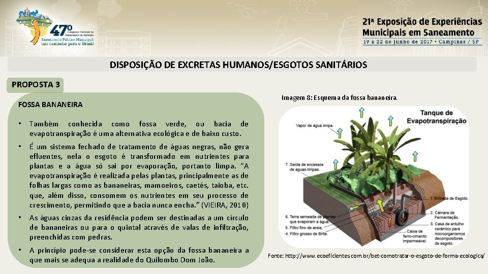 DISPOSIÇÃO DE EXCRETAS HUMANOS/ESGOTOS SANITÁRIOS PROPOSTA 3 FOSSA BANANEIRA • Também conhecida como fossa