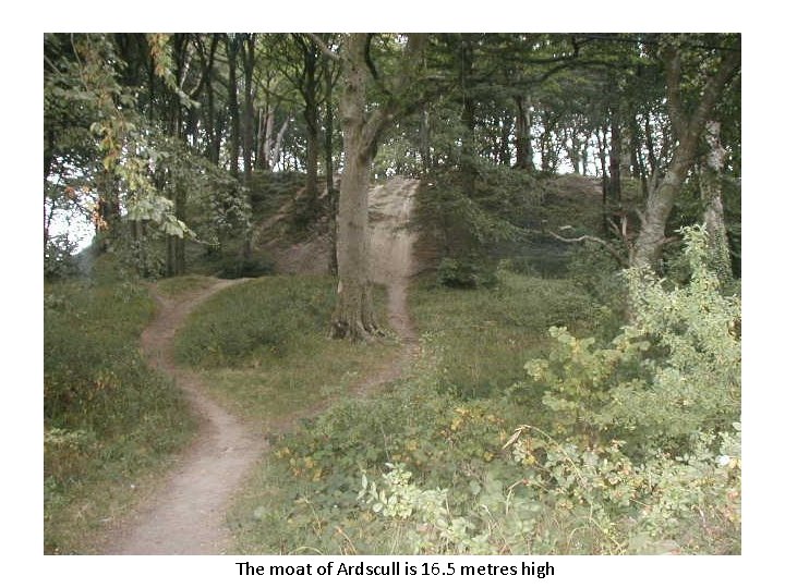 The moat of Ardscull is 16. 5 metres high 