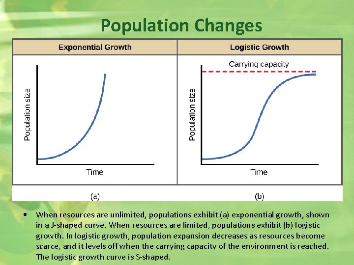 Population Changes • When resources are unlimited, populations exhibit (a) exponential growth, shown in