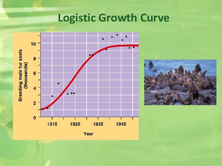 Logistic Growth Curve 