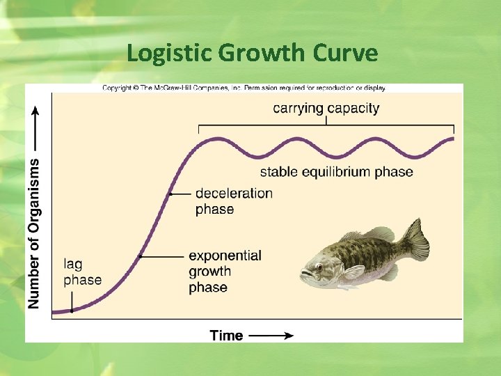 Logistic Growth Curve 