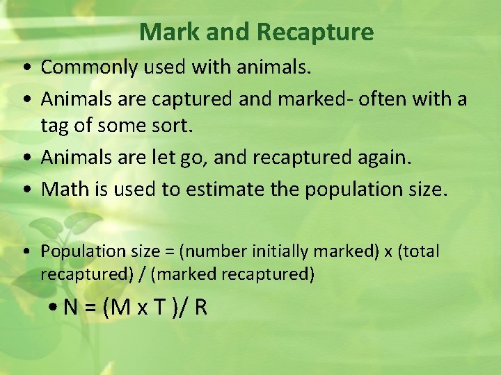 Mark and Recapture • Commonly used with animals. • Animals are captured and marked-