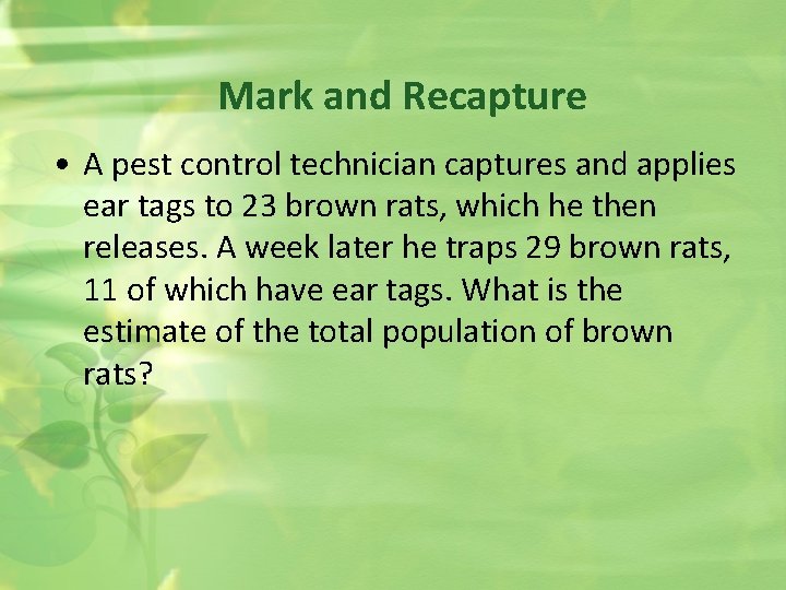 Mark and Recapture • A pest control technician captures and applies ear tags to