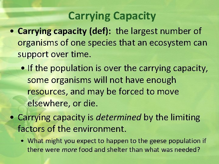 Carrying Capacity • Carrying capacity (def): the largest number of organisms of one species