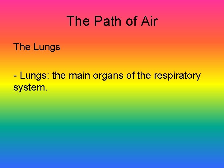 The Path of Air The Lungs - Lungs: the main organs of the respiratory