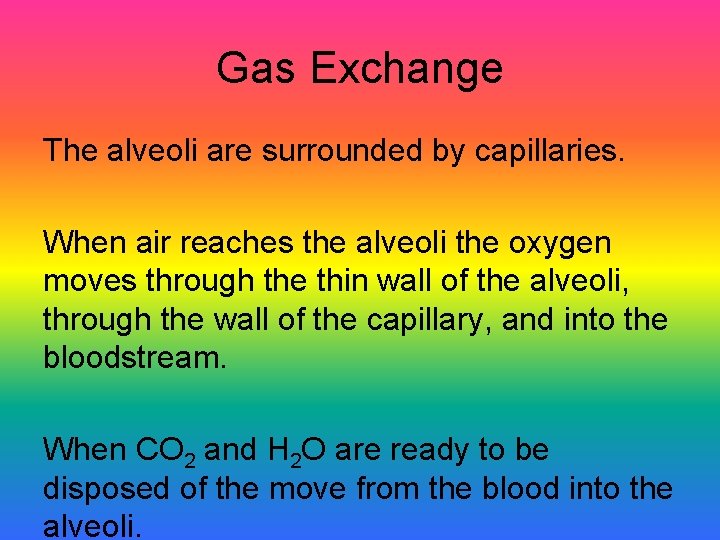 Gas Exchange The alveoli are surrounded by capillaries. When air reaches the alveoli the