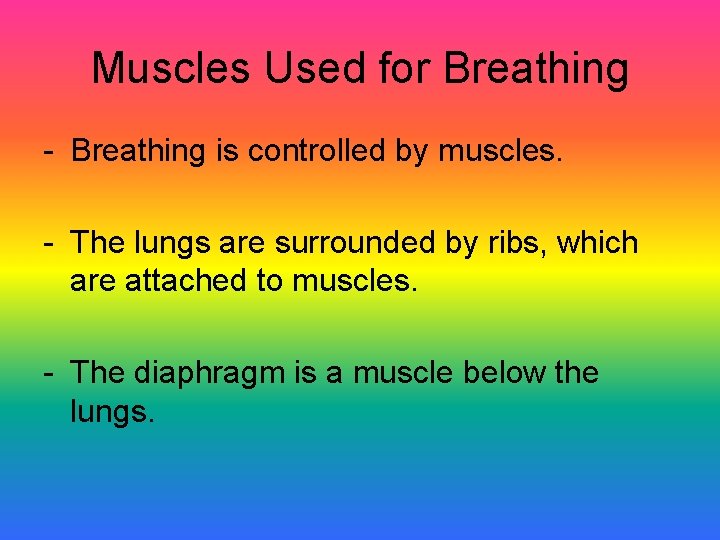 Muscles Used for Breathing - Breathing is controlled by muscles. - The lungs are