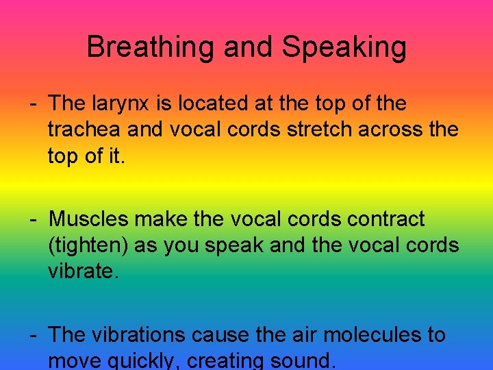 Breathing and Speaking - The larynx is located at the top of the trachea
