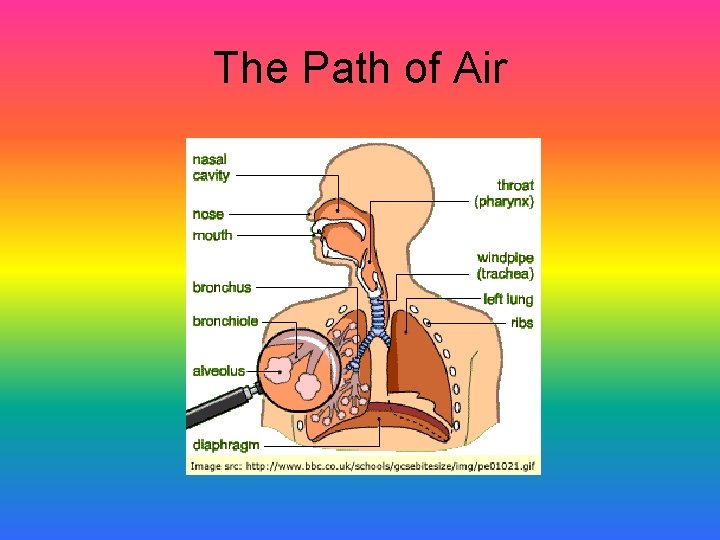 The Path of Air 