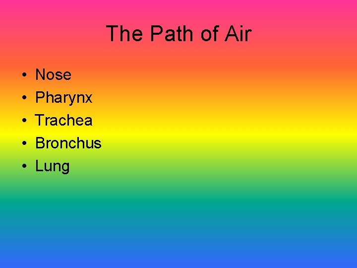 The Path of Air • • • Nose Pharynx Trachea Bronchus Lung 