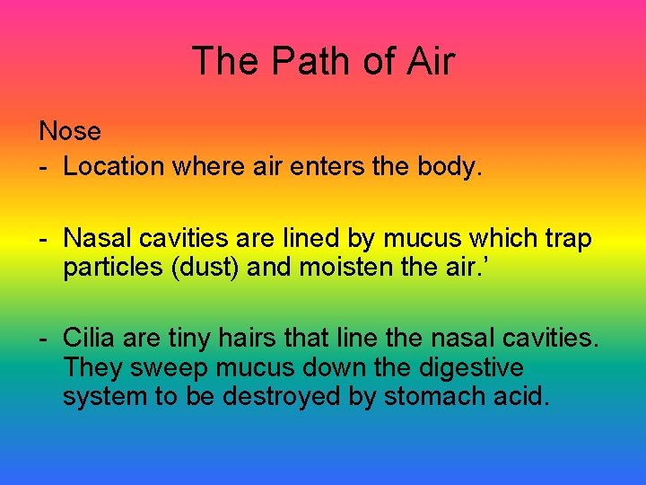 The Path of Air Nose - Location where air enters the body. - Nasal