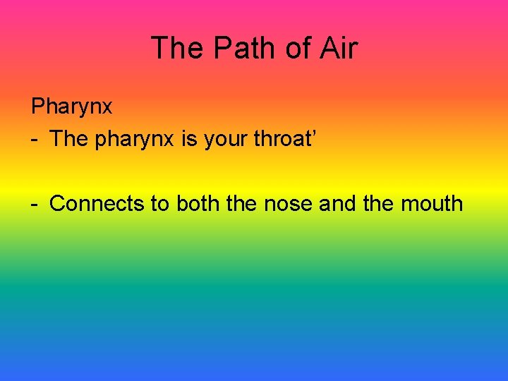 The Path of Air Pharynx - The pharynx is your throat’ - Connects to