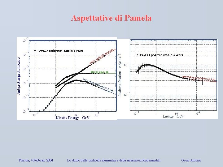 Aspettative di Pamela Firenze, 4 Febbraio 2004 Lo studio delle particelle elementari e delle