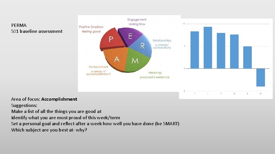 PERMA S 01 baseline assessment Area of focus: Accomplishment Suggestions: Make a list of