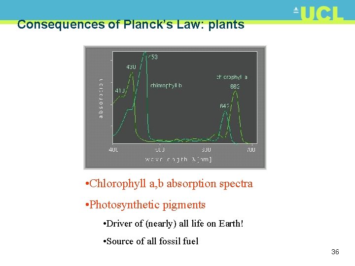 Consequences of Planck’s Law: plants • Chlorophyll a, b absorption spectra • Photosynthetic pigments