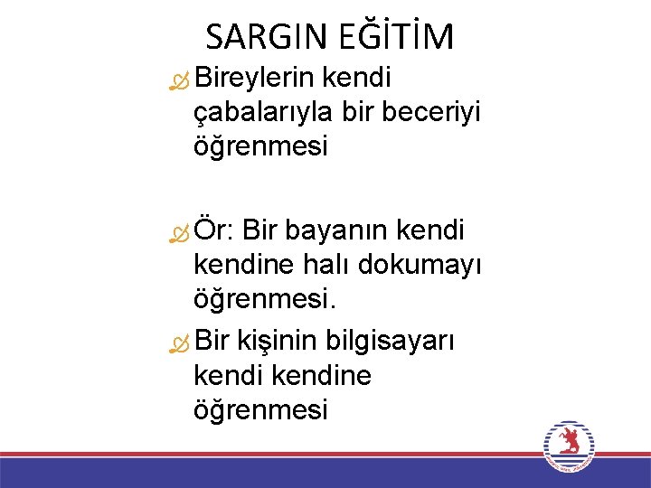 SARGIN EĞİTİM Bireylerin kendi çabalarıyla bir beceriyi öğrenmesi Ör: Bir bayanın kendine halı dokumayı