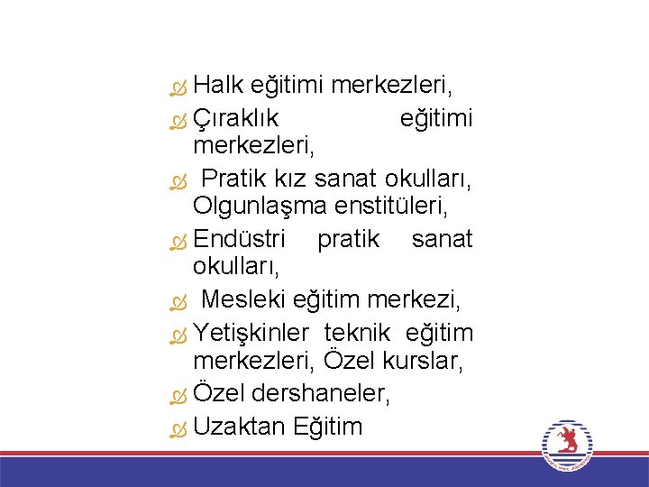 Halk eğitimi merkezleri, Çıraklık eğitimi merkezleri, Pratik kız sanat okulları, Olgunlaşma enstitüleri, Endüstri pratik