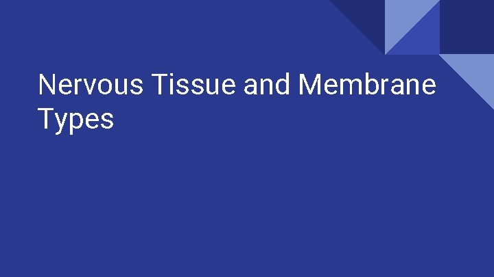 Nervous Tissue and Membrane Types 