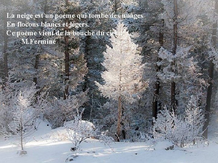 La neige est un poème qui tombe des nuages En flocons blancs et légers.