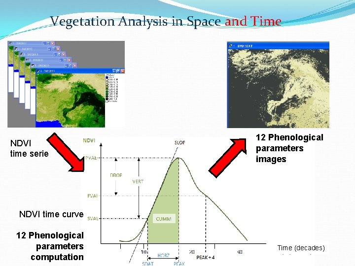 Vegetation Analysis in Space and Time NDVI time serie 12 Phenological parameters images NDVI