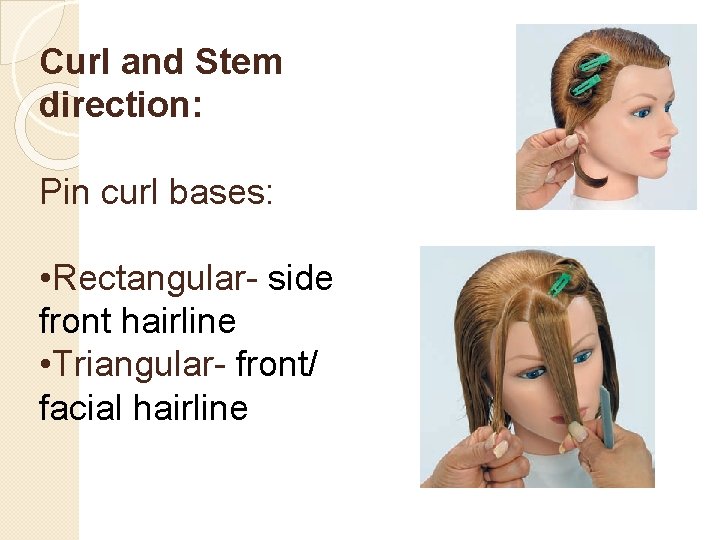Curl and Stem direction: Pin curl bases: • Rectangular- side front hairline • Triangular-