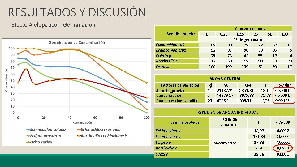 RESULTADOS Y DISCUSIÓN Efecto Alelopático – Germinación Semillas prueba 0 Echinochloa col. Echinochloa cruz.