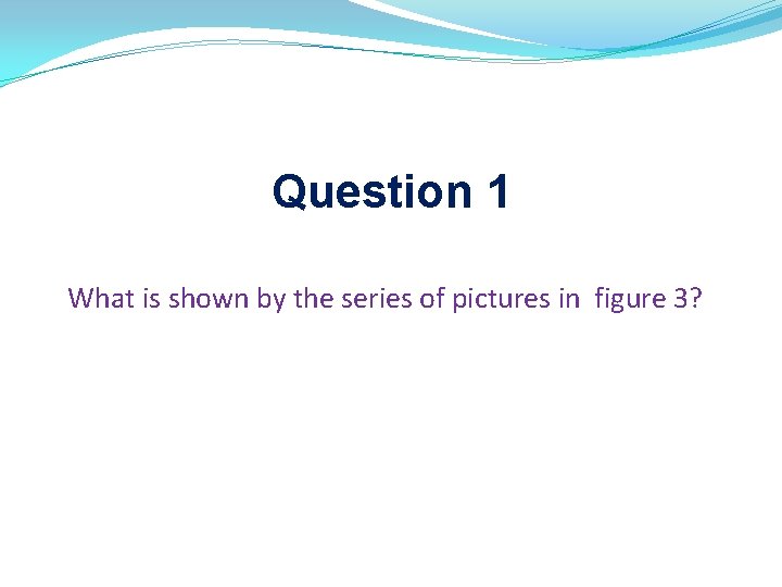 Question 1 What is shown by the series of pictures in figure 3? 