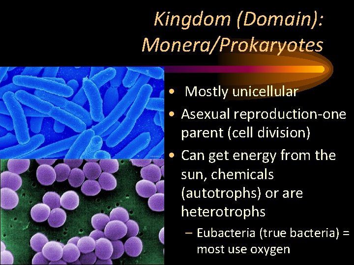 Kingdom (Domain): Monera/Prokaryotes • Mostly unicellular • Asexual reproduction-one parent (cell division) • Can