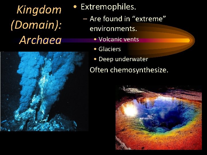 Kingdom (Domain): Archaea • Extremophiles. – Are found in “extreme” environments. • Volcanic vents