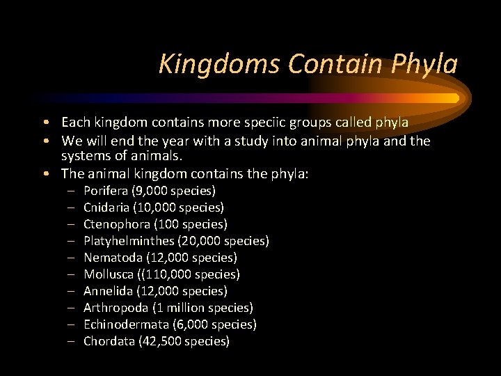 Kingdoms Contain Phyla • Each kingdom contains more speciic groups called phyla • We